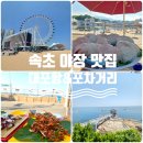 순희네 포차 | 속초 가볼만한 곳|속초 아이, 영금정, 대포항 야장 및 포차거리 순희네 마차 내돈 내산 후기