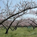 도도리저수지 이미지