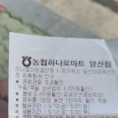 최신영화 브로커 이미지