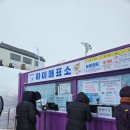 [강원도 평창] 겨울 축제 추천! &#34;대관령 눈꽃 축제&#34; 후기