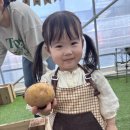 기관목장 | [파주/육아] 아기와 다양한 목장 체험을 즐길 수 있는 파주 룰루목장