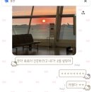 장보는고양이이천신둔점 | 임신 30주차-31주차 | 배뭉침, 임산부 무릎통증, 이케아 아기옷장 구매, 셀프 만삭홈스냅, 31주차 배크기