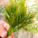 담비농장 이미지