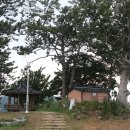 적금경로당 이미지