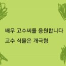 해피브라운
