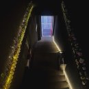 좋은데 | ‘목록(MOKLOK)’ 평택역 분위기도 좋은데 안주까지 맛있는 술집 방문후기