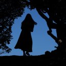 등대와올레길 이미지