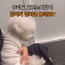 버프탕 이미지