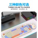 게임폭스 이미지