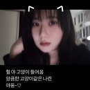 안경매니져(상동점) | 8. 그냥 살면 되 ~.~