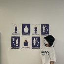 모데라트 이미지