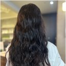 중앙 애견 미용실 이미지