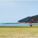 서포비치 이미지