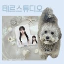 부산증명사진 잘 찍는 경성대사진관 테르스튜디오 후기