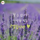 미래로문구 네이버블로그