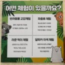 멍멍아 놀자 | 파주 테이블에이 실내 동물원 아이와 가볼 만한 곳 추천
