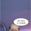 제주한스푼