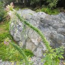 탐진사인마을 이미지