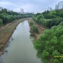 대치1-115 이미지