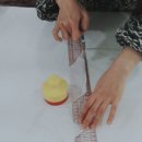 반려동물의상제작 이미지