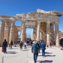 감람농장 이미지