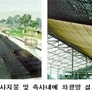 광선축사 이미지