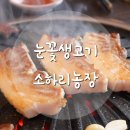 눈꽃생고기소하리농장 | 광명 소하동맛집 눈꽃생고기 소하리 농장 눈꽃생돼지모듬 후기