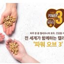 호도글로벌 이미지