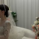 [아이폰 스냅] 송도 센트럴파크호텔ㅣ릴리홀 촬영 후기