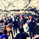 창원대로 이미지