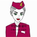 [첫 지원 최종합격_QATAR Airways Seoul Openday_ Jun 2023 - CV drop ]