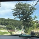 귀래정 | 고기동 계곡 맛집 / 귀래정 후기 / 주차정보