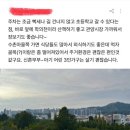 럭키아델리체공인중개사사무소 | [평촌 부동산] 공작럭키 아파트 입주민 실거주 찐 후기(ft. 호갱노노)