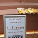 문화맨션 | 청주 청주대 | 넓은 카페 보이드맨션 후기 / 문화제조창 카페 추천