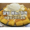 서현시범길 | 설빙 메뉴 가격 칼로리 애플망고치즈설빙 허니버터브레드