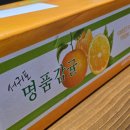 산지청과 - 10179 | 제주도귤택배 산지직송 보배청과 유라실생 극조생 노지감귤 5KG