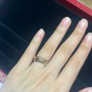 반지 :: 롯데백화점 본점 웨딩밴드 투어 (쇼파드, 피아제, 다미아니, 타사키, 쇼메, 티파니앤코, 불가리...