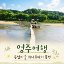 한다리마을 | 영주 여행 추천! 무섬마을 외나무다리에서 만나는 아름다운 풍경
