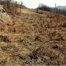 산내농장 이미지