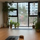 cozy필라테스 | 임산부 요가복 추천 🧘‍♀️ - 가성비 쿠팡, 부디무드라, 룰루레몬, 무브웜, 파르티멘토 우먼