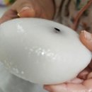 범잔기지떡