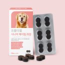 강아지 종합영양제 노견 전용 빨간색 프롬더셀 후기