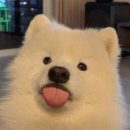 한신우동서울대역점