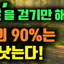 숲의치유력 이미지