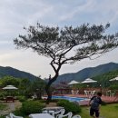 라마리차 이미지