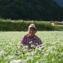 복정당구장 이미지