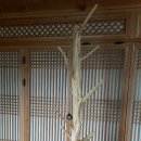큰밭농원 이미지