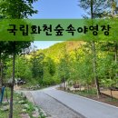 간동면사무소 | 국립화천숲속야영장 강원도 자연휴양림 오토캠핑장(계곡, 시설, 숲나들이 예약)