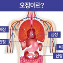 오장육부 이미지