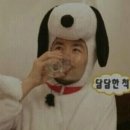 커피멍냥광교역점 이미지